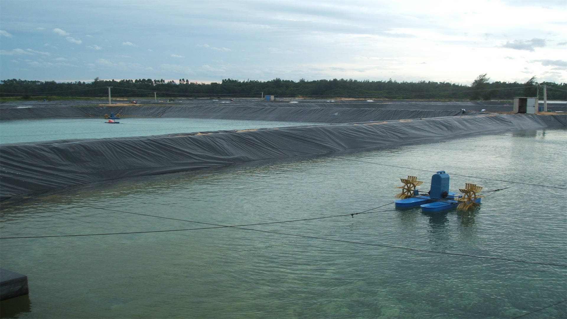 魚(yú)塘蝦池防滲